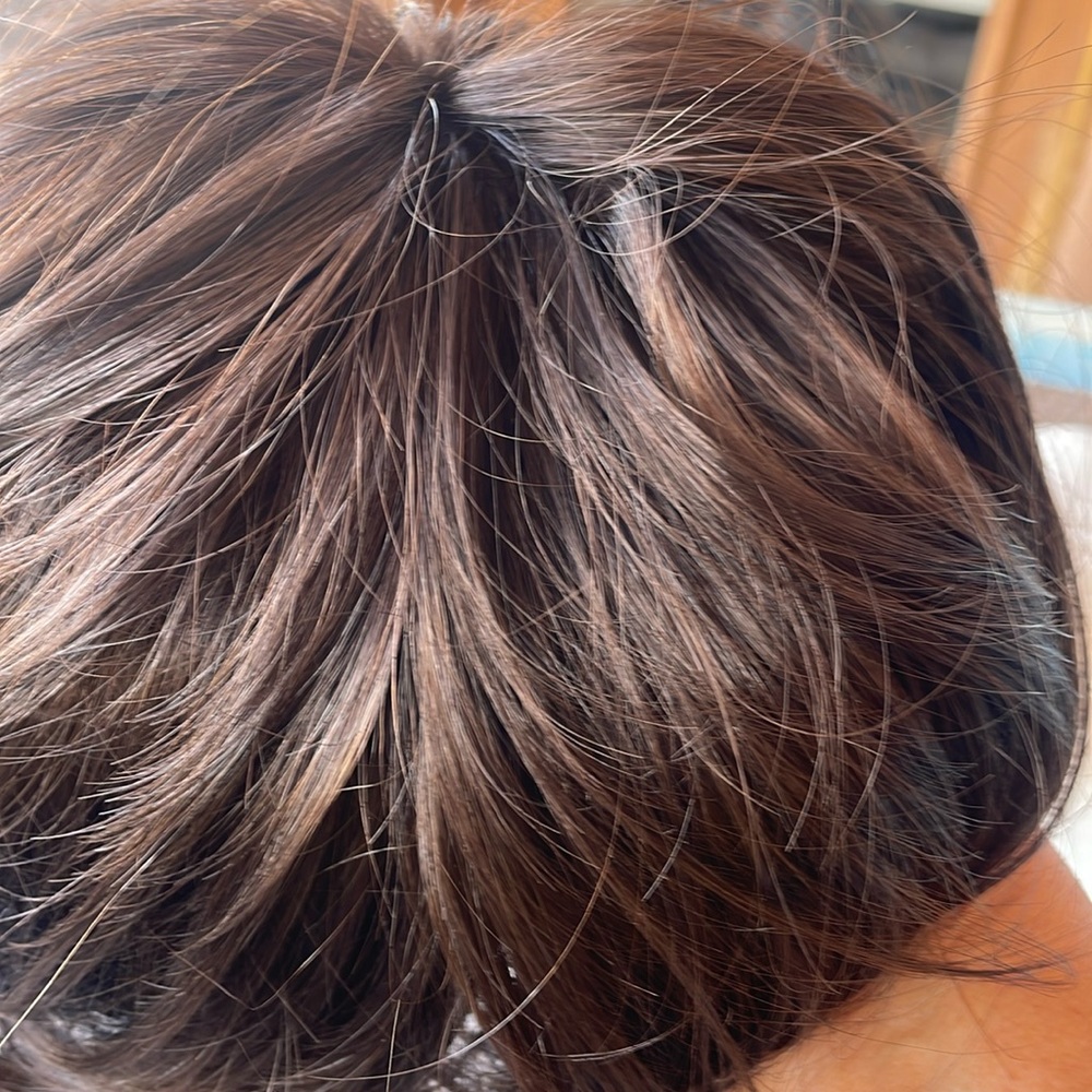 Human Hair Wig With netting.
